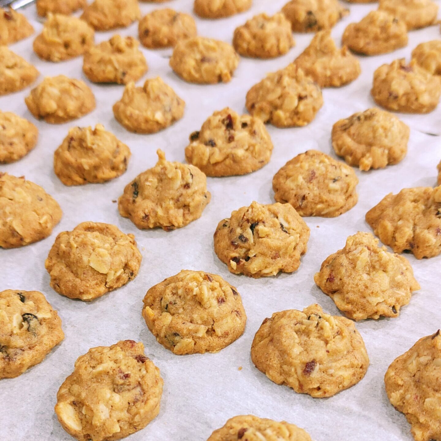Mini Oats Cranberry Cookies {180g}